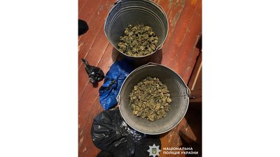 Створив наркоплантацію у кукурудзяному полі: на Чернігівщині затримали жителя Сумщини Створив наркоплантацію у кукурудзяному полі: на Чернігівщині затримали жителя Сумщини