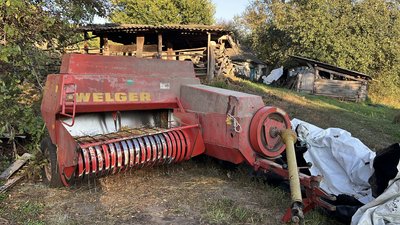 «Утримання дорожче, ніж здача молока»: як родина з Роменщини веде власне господарство «Утримання дорожче, ніж здача молока»: як родина з Роменщини веде власне господарство
