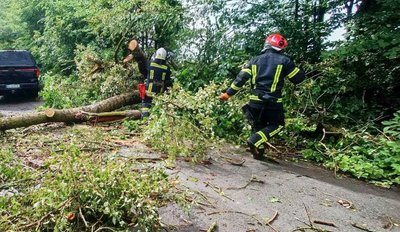 Повалені дерева та підтоплені вулиці: рятувальники ліквідовували наслідки негоди на Хмельниччині Повалені дерева та підтоплені вулиці: рятувальники ліквідовували наслідки негоди на Хмельниччині