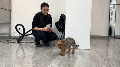 У місті на Рівненщині 21-річна грумерка за грантові кошти відкрила салон для тварин