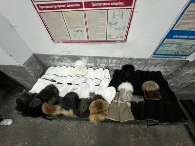 Вироби з хутра, виявлені у мешканця Прикарпаття Вироби з хутра, виявлені у мешканця Прикарпаття