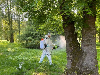 Кліщі, кроплення кліщів, парки Тернополя