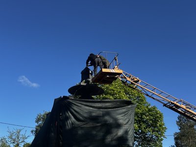 У Полтаві під час демонтажу пам’ятника на місці відпочинку Петра І виявили зображення орла У Полтаві під час демонтажу пам’ятника на місці відпочинку Петра І виявили зображення орла