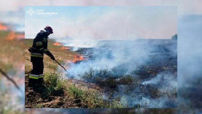 На Чернігівщині через пожежі в екосистемах вигоріли майже 55 гектарів землі На Чернігівщині через пожежі в екосистемах вигоріли майже 55 гектарів землі