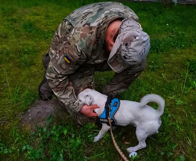 Коли слова зайві: історія про те, як у Житомирі собаки допомагають людям під час війни Коли слова зайві: історія про те, як у Житомирі собаки допомагають людям під час війни