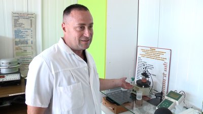 У Житомирі провели дослідження на вміст нітратів у кавунах та динях У Житомирі провели дослідження на вміст нітратів у кавунах та динях