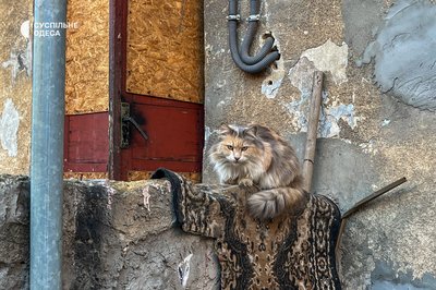 Одеські дворики у фото: світ за зачиненими воротами Одеські дворики у фото: світ за зачиненими воротами