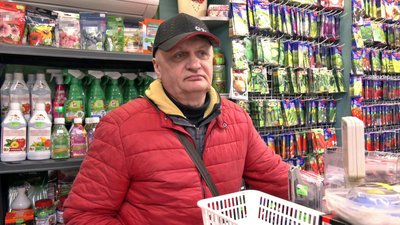 Насіння і розсада для висадження: які культури обирають волиняни Насіння і розсада для висадження: які культури обирають волиняни
