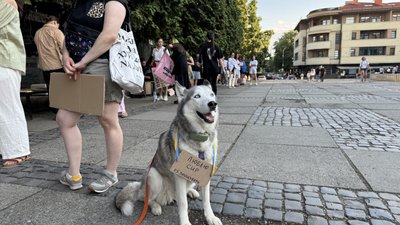 В Ужгороді третій день триває акція на підтримку ексміністра оборони Михайла Федорова В Ужгороді третій день триває акція на підтримку ексміністра оборони Михайла Федорова