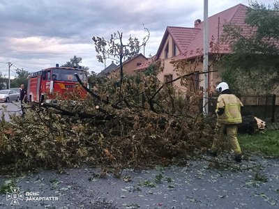 Закарпатські рятувальники ліквідовували наслідки негоди Закарпатські рятувальники ліквідовували наслідки негоди