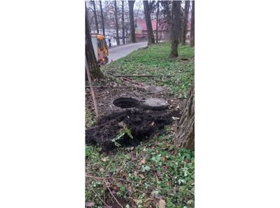 З каналізації витягнули ріпу, засмічення каналізації, Тернопіль, січень 2024 З каналізації витягнули ріпу, засмічення каналізації, Тернопіль, січень 2024