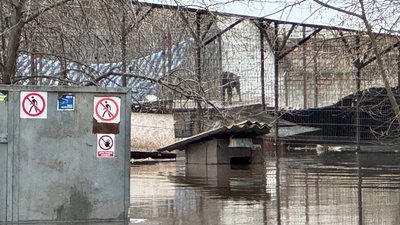 Котів та собак вивозили на човнах: у Кропивницькому всю ніч рятували тварин з затопленого притулку Котів та собак вивозили на човнах: у Кропивницькому всю ніч рятували тварин з затопленого притулку