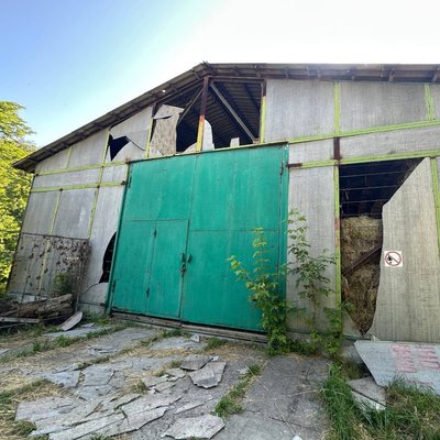 Внаслідок російської атаки є пошкодження у зоопарку Внаслідок російської атаки є пошкодження у зоопарку