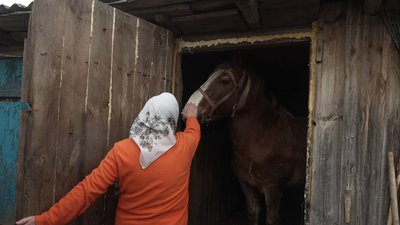 Домашній хліб із печі, яку змурували батьки: історія Ніни Гук з Рівненщини Домашній хліб із печі, яку змурували батьки: історія Ніни Гук з Рівненщини