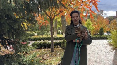 "Це мій однодумець, це мій друг". У Конотопі на Сумщині живе кіт-блогер на ім'я Морган "Це мій однодумець, це мій друг". У Конотопі на Сумщині живе кіт-блогер на ім'я Морган