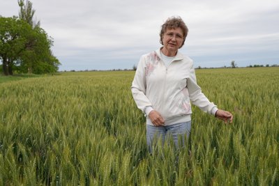 "Ми не маємо покинути землю": як фермерки з Херсонщини працюють і розвивають господарства "Ми не маємо покинути землю": як фермерки з Херсонщини працюють і розвивають господарства