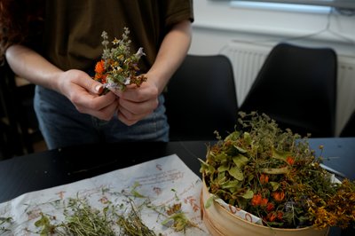 Любов Попова, трави, чай, козіївка Любов Попова, трави, чай, козіївка