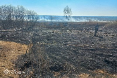 У Новопокровці Чугуївського району сталася пожежа в екосистемі через спалювання сухостою 7 березня 2025 року