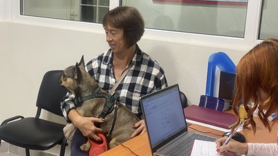 Реєстрація домашніх улюбленців: у Миколаєві відкрили пункт чипування тварин Реєстрація домашніх улюбленців: у Миколаєві відкрили пункт чипування тварин