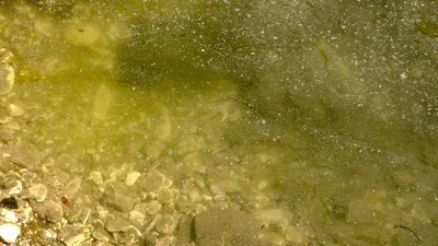 вода, річка вода, річка