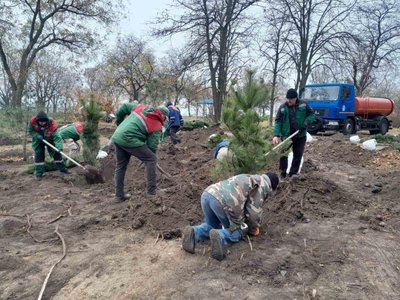 В одному з парків Одеси висадили майже пів сотні молодих дерев В одному з парків Одеси висадили майже пів сотні молодих дерев