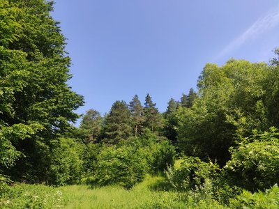 тернопільщина