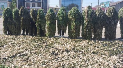"Шалені голки": як жінки з Подільська плетуть кілометри захисту для армії "Шалені голки": як жінки з Подільська плетуть кілометри захисту для армії