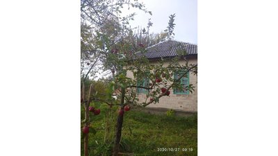 Розділені "бетонкою" й об’єднані обстрілами: як живуть жителі мікрорайонів Півці та Олександрівка у Чернігові Розділені "бетонкою" й об’єднані обстрілами: як живуть жителі мікрорайонів Півці та Олександрівка у Чернігові