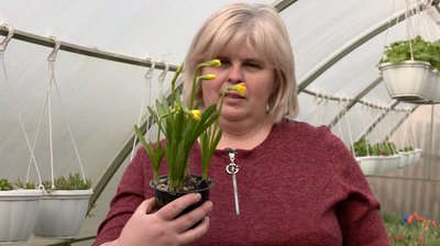 "Найкраще — очі жінок": квітникарка з Черкащини про вирощування квітів під час війни "Найкраще — очі жінок": квітникарка з Черкащини про вирощування квітів під час війни