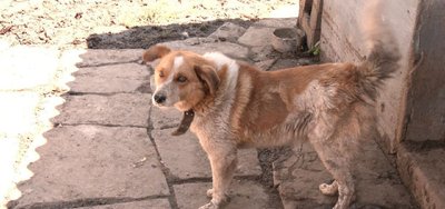 Негода у Підгайчиках, злива Негода у Підгайчиках, злива