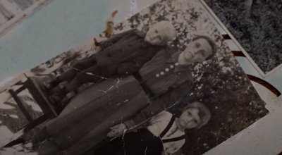 українська сімʼя, Дарія Пелеш українська сімʼя, Дарія Пелеш