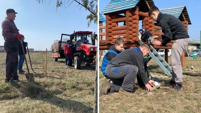 "Там буде класно і просторо для дітей": алею з орієнтовно 200 дубами висадили у Володимирці на Рівненщині "Там буде класно і просторо для дітей": алею з орієнтовно 200 дубами висадили у Володимирці на Рівненщині