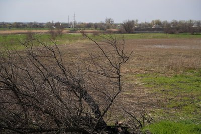 "Водойми — це дуже вразливі екосистеми". Чому на Дніпропетровщині зникають озера та чи можливо їх відновити "Водойми — це дуже вразливі екосистеми". Чому на Дніпропетровщині зникають озера та чи можливо їх відновити