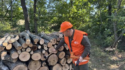 «Щоб не замерзнути взимку»: на Кіровоградщині зріс попит на дрова «Щоб не замерзнути взимку»: на Кіровоградщині зріс попит на дрова