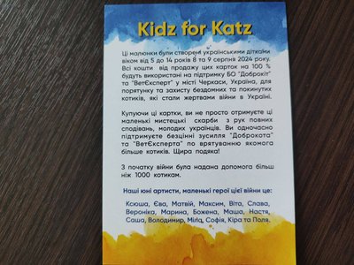 "Кішка народила в окопі": черкащани можуть прихистити кошеня