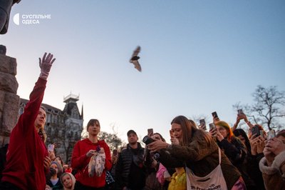 Вперше в Одесі: 27 кажанів повернулися у своє природне середовище