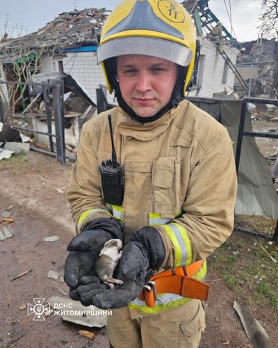 Російські війська завдали ракетно-дронового удару по Коростеню на Житомирщині: є загибла Російські війська завдали ракетно-дронового удару по Коростеню на Житомирщині: є загибла