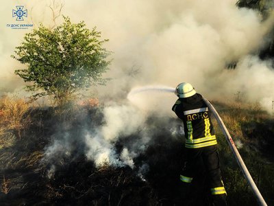 На Київщині вирують пожежі в екосистемах На Київщині вирують пожежі в екосистемах