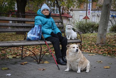 Херсон, вулиця, місто, херсонці, тварини, осінь, листопад 2025 року Херсон, вулиця, місто, херсонці, тварини, осінь, листопад 2025 року