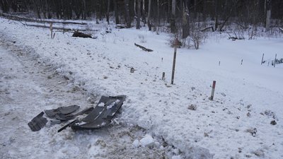 Збили лося на трасі Чернігів – Київ: чому не вдалося врятувати тварину на Чернігівщині Збили лося на трасі Чернігів – Київ: чому не вдалося врятувати тварину на Чернігівщині