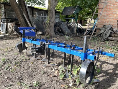 Вирощування лохини та суниці на Полтавщині: чи вигідний бізнес Вирощування лохини та суниці на Полтавщині: чи вигідний бізнес