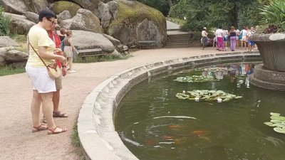 Місце бажань, олені та підземні прогулянки: куди поїхати на вихідні на Черкащині Місце бажань, олені та підземні прогулянки: куди поїхати на вихідні на Черкащині