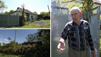 У селі на Кіровоградщині від укусів бджіл загинули дві корови й собака У селі на Кіровоградщині від укусів бджіл загинули дві корови й собака