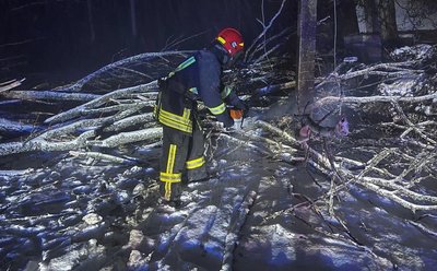 Повалені дерева і знеструмлення: у ДСНС розповіли про наслідки негоди на Черкащині Повалені дерева і знеструмлення: у ДСНС розповіли про наслідки негоди на Черкащині