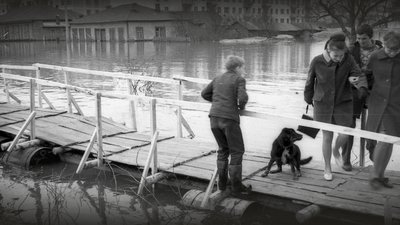 Чернігівська повінь 1970 року: якою її пам'ятають місцеві жителі та історики