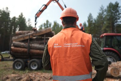 “Не маємо доступу до 17,5 тисяч гектарів лісу”: які результати реформи в лісовій галузі на Сумщині “Не маємо доступу до 17,5 тисяч гектарів лісу”: які результати реформи в лісовій галузі на Сумщині