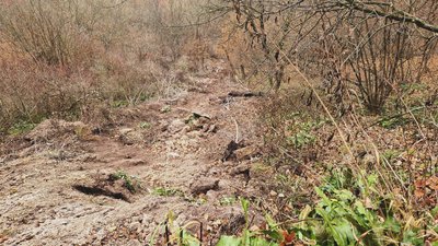Водоспад Дівочі сльози, на Тернопільщині обвалилася скеля Водоспад Дівочі сльози, на Тернопільщині обвалилася скеля