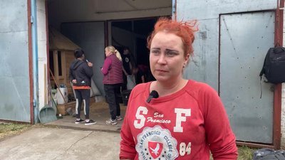 "Ситуація погіршується з кожним днем": на Чернігівщину з прифронтового села Харківщини евакуювали 15 коней "Ситуація погіршується з кожним днем": на Чернігівщину з прифронтового села Харківщини евакуювали 15 коней