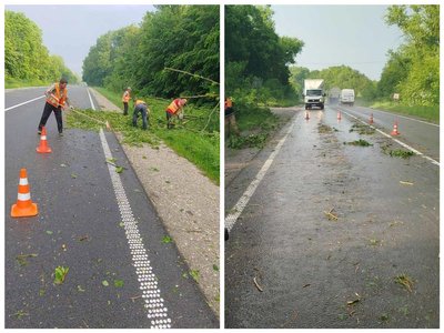 дорога, гілки на дорозі, наслідки негоди