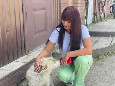 "Із операційного кабінету мого видно Росію": як живе та працює ветлікарка з Білопілля "Із операційного кабінету мого видно Росію": як живе та працює ветлікарка з Білопілля